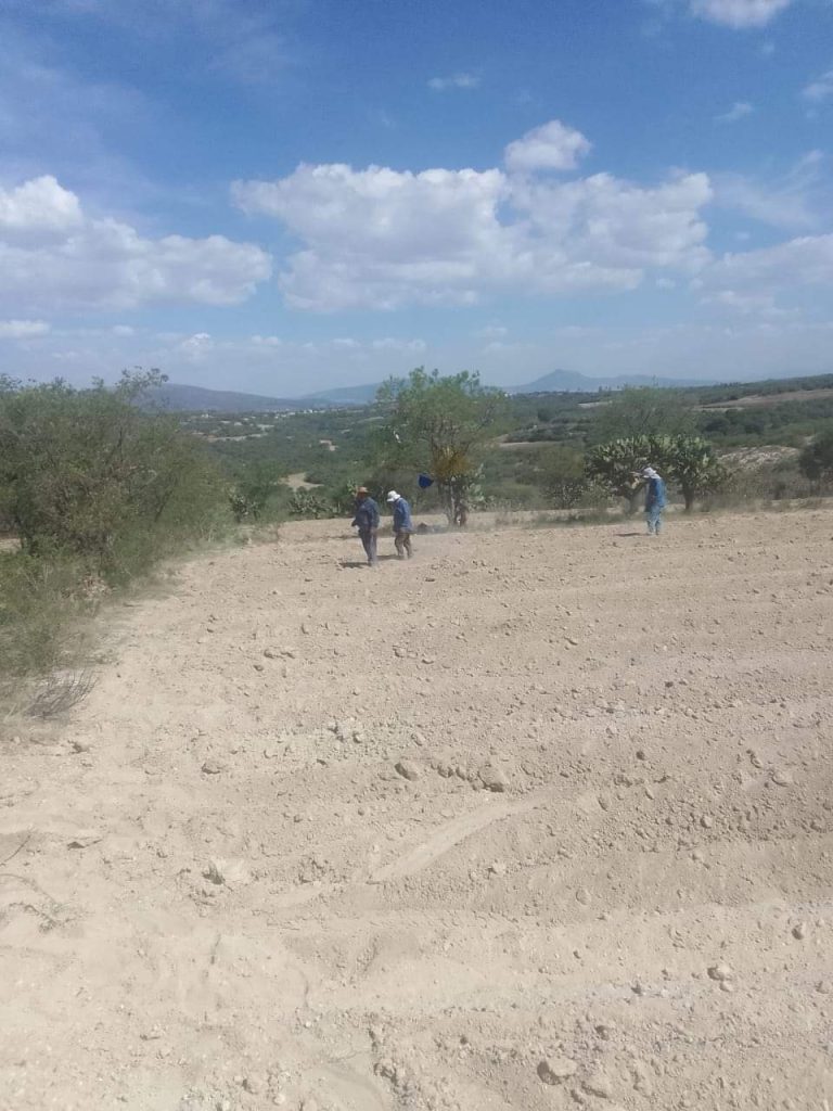 Campesinos del Mezquital piden ayuda ante pérdidas debido a la falta de ...