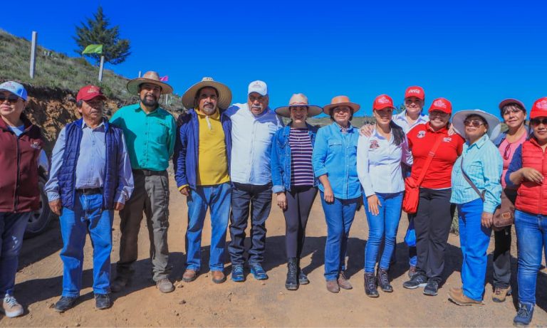 Corporación RICA y aliados realizan jornada de reforestación en